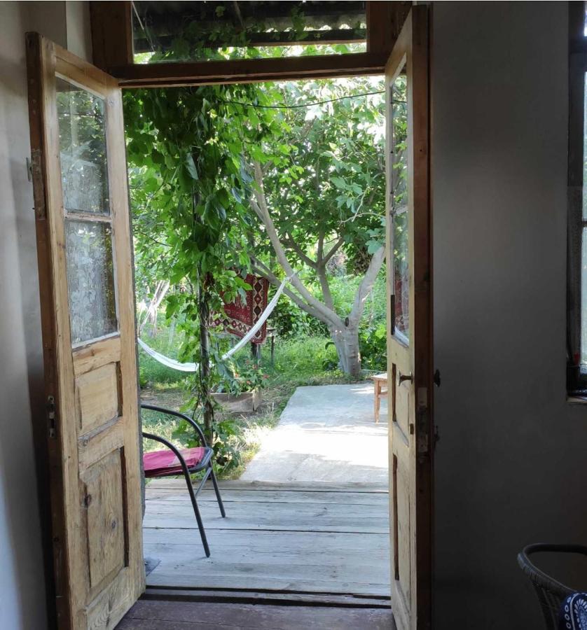 Appartement Mzia'S Garden à Kvakhvreli Extérieur photo